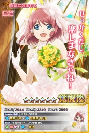 ꡼ No.005 | ֥ƥ륺  󥯡סǥ󥰰Υ꡼ãо줹륬㤬