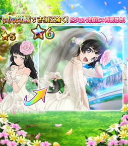 ꡼ No.006Υͥ / ֥ƥ륺  󥯡פΥᥤ󥷥ʥꥪϤ