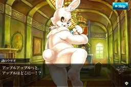 ���������꡼ No.008�Υ���ͥ������ / �֥��ե��ꥢ�ޡ����פο����ʥꥪ�ֻ�������ԡפ���ء���˥å��ɲä�