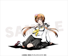 限定品ニセコイ AnimeJapan 2014　ポスター 桐崎千棘 アイテム | TVアニメ「ニセコイ」公式サイト