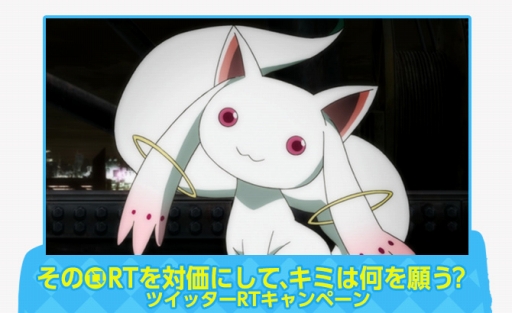 ���������꡼ No.004�Υ���ͥ������ / �֥��ϥ� �������ץ����ס����̤�����100�ļ�����륫��Хå������ڡ����»�