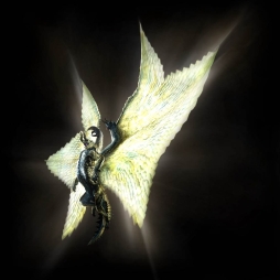 ꡼ No.001 | ֥ϥ ץסȽϻƤȲɤ˲祷㥬ޥ餬о