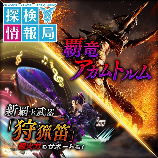 ꡼ No.008Υͥ / MHXRס627»ͽκǿåץǡȾ