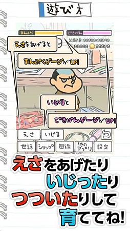 �褷�����饭�å�