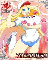 画像ギャラリー No.020のサムネイル画像 / 「閃乱カグラ NewWave」限定の体操服爆乳カードが手に入るイベントを開始