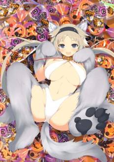 ���������꡼ No.003�Υ���ͥ������ / �����𥫥��� NewWave�ץϥ�������θ��ꥫ���ɤ�������륭���ڡ���»�