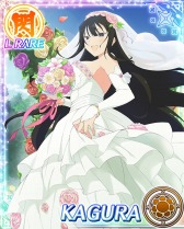 ���������꡼ No.002�Υ���ͥ������ / �����𥫥��� NewWave G�С����ȡץ��٥�ȡ֥֡�����å�������̵���ʰ���פ�»�