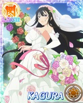 ���������꡼ No.003�Υ���ͥ������ / �����𥫥��� NewWave G�С����ȡץ��٥�ȡ֥֡�����å�������̵���ʰ���פ�»�