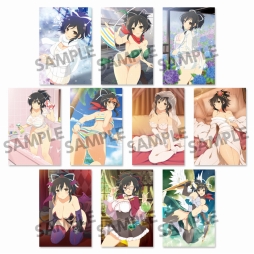 画像ギャラリー No.003のサムネイル画像 / 「閃乱カグラ NewWave Gバースト」，タペストリーとポストカードセットの予約受付を開始