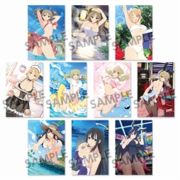 画像ギャラリー No.004のサムネイル画像 / 「閃乱カグラ NewWave Gバースト」，タペストリーとポストカードセットの予約受付を開始