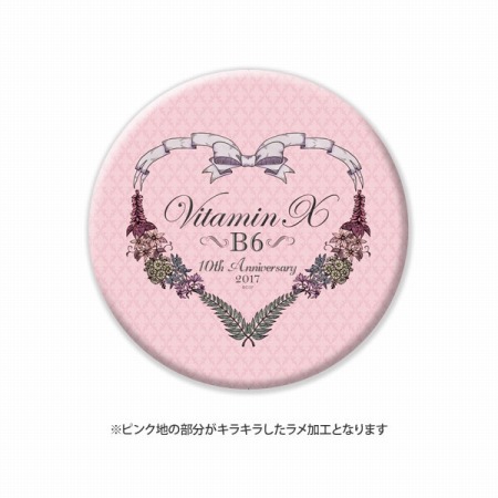 ꡼ No.005 | VitaminX B6åMTGפΥ٥ȥå򳫻