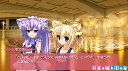 ꡼ No.004 | Tiny Dungeon BLESS of DRAGONפAndroidܿǤۿ