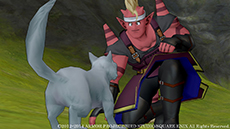 ������#004�Υ���ͥ���/�֥ɥ饴�󥯥�����X�ס��͵��ʥ�С�������������������ɼ���٥�ȡ֥����ȥ�ƥ������ʥ��������󡪡פ�������������