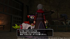 画像ギャラリー No.001のサムネイル画像 / 「ドラゴンクエストX」，連続クエスト「ロード・オブ・どうぐ使い」の第3話，4話の情報が公開に。恩師の問題解決に一肌脱ごう