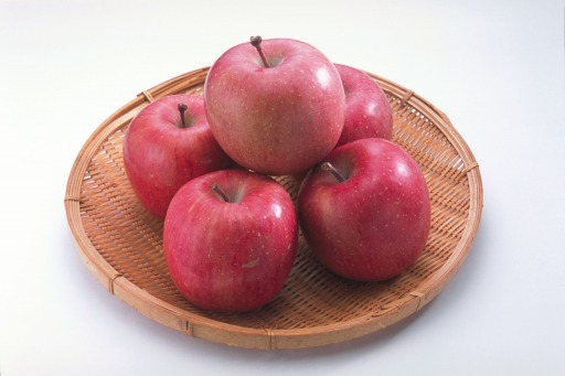 ꡼ No.006 | ֥롦ե ǥ륿סθۿǰڡ󤬥