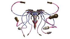 ������#012�Υ���ͥ���/�֥ե��󥿥��������� �Υ����פ��о줹�����Ķ������ʪʼ��֥�����ƥ��פξ��󤬸����ˡ���ά���ɥХ�����Ҳ�