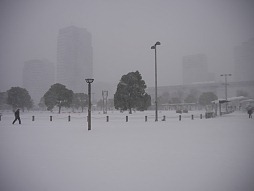 画像集#003のサムネイル/実力派声優陣が,武将達の魂を歌い上げた「真・三國無双 声優乱舞2014春〜究極歌宴〜」レポート