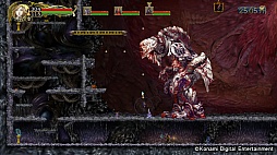 �����ɥ饭��� Harmony of Despair