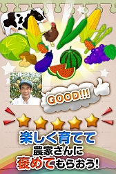 画像ギャラリー No.006のサムネイル画像 / 農業を疑似体験できるアプリ「さんちょく！」が配信中。育てた野菜は購入可能