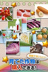 画像ギャラリー No.007のサムネイル画像 / 農業を疑似体験できるアプリ「さんちょく！」が配信中。育てた野菜は購入可能