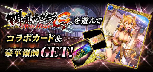 ꡼ No.002Υͥ / ָɱפȡ𥫥 NewWave GСȡפܤ򳫺š