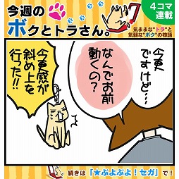 画像集#001のサムネイル/「★ぷよぷよ!セガ」,New 3DSなどが当たるプレゼントキャンペーンを実施