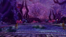 ꡼ No.011 | ָۿס緿åץǡȤǥ٥륭åפ80ˡޥåפ俷󥸥󤬼