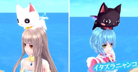 ꡼ No.012Υͥ / ָۿ24ΥåץǡȤǡ⳦Ϥᤰ뿷ȡ꡼ɲáॿȥϡָۿ -Cross to Fate-פ