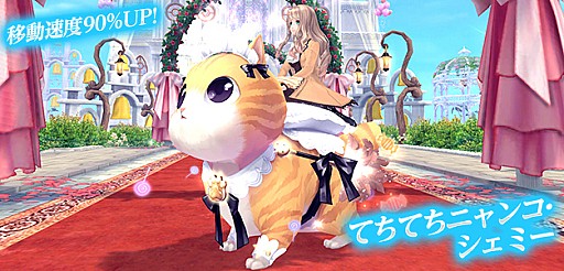 ꡼ No.005 | ָۿ -Cross to Fate-סɥХȥ˿ɤɲäĥåץǡȤ37˼»ܡѤοȾʪ֤ƤƤˤ󤳡פо