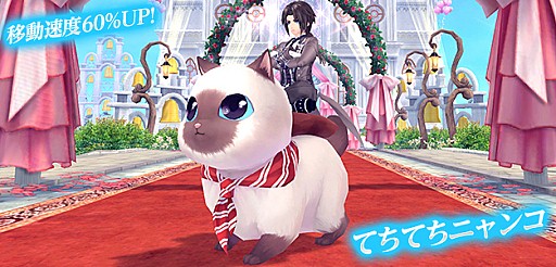 ꡼ No.007 | ָۿ -Cross to Fate-סɥХȥ˿ɤɲäĥåץǡȤ37˼»ܡѤοȾʪ֤ƤƤˤ󤳡פо