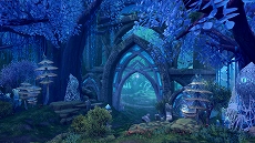 ꡼ No.005Υͥ / ָۿ -Another Fate-ס緿åץǡȡպΥ쥸פǡָ٥륢åץƥפо