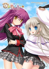 ꡼ No.005 | ֥ɤդ Converted Editionס12Źͽŵ