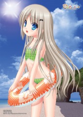 ꡼ No.007 | ֥ɤդ Converted Editionס12Źͽŵ