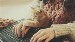 ꡼ No.016 | GRAVITY DAZE 2סƣڤѤPVGRAVITY CAT / ŪǭԡפGRAVITY DAZEפѤ¼̥ࡼӡ