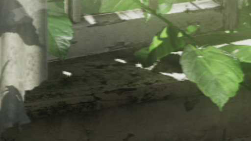 ���������꡼ No.036�Υ���ͥ������ / PC�쥹����ץ���ǥХ����οʲ�����AVT-C285�ץ�ӥ塼���¶�ư�������ʰ��Խ������ޥۥ��ץ�ޤǤ��������å����Ƥߤ�