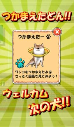 �����˸�w