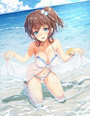 ���������꡼ No.002�Υ���ͥ������ / �֥��󥸥塦�������른��ס����٥�ȡȽ����������ɤ�����