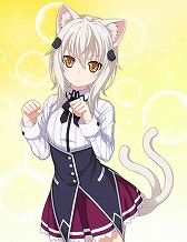 ꡼ No.004 | ֥󥸥塦른סȥϥDD HEROɥܤ215