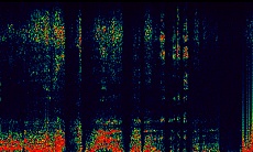 ���������꡼ No.006�Υ���ͥ������ / ���ޥ���֡��ࡤ�֥ץ�����3�� SmileBASIC�פ�Wii U�ǤȤʤ�֥ץ�����BIG�ʲ��ˡפγ�ȯ��ȯɽ����꡼����2016ǯ�դ�ͽ��