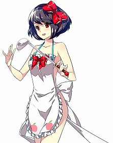 ���������꡼ No.001�Υ���ͥ������ / ��Ȣ���Υե��륯������סȥ������ɤʤɤ������������٥����2�Ƥ⥹������