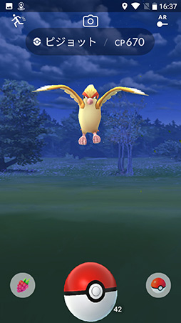 ꡼ No.040 | PRۥѥȤǤ⹭̡ǽAQUOS R compactפ¸ѤȥǤưåƤߤ