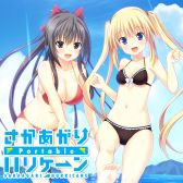 ꡼ No.006Υͥ / ֥ѥեפʤɡPS Vitaѥե5ʤΥ뤬