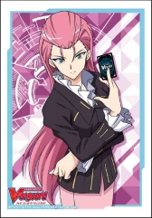 ���������꡼ No.011�Υ���ͥ������ / �֥����ɥե�����!! �����󥬡��ɡפΥ������ȥ�֡���������10�ơ�The Mysterious Fortune�פ�����ȯ��