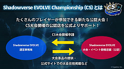 ꡼ No.034Υͥ / ֥֥TCGάȯɽ2022 ס׳š5ȥκŸ俷ʤξϤ줿٥Ȥݡ