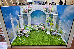 ꡼ No.017 | ֥TCGΥ٥ȡ֥ɥ2024 in ץݡȡ󤫤֥ץ奫ɥ ɥ꡼४פ»