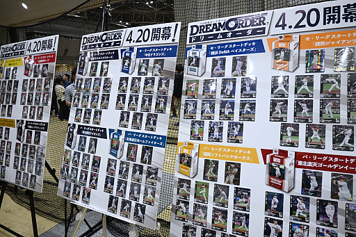 ꡼ No.033 | ֥TCGΥ٥ȡ֥ɥ2024 in ץݡȡ󤫤֥ץ奫ɥ ɥ꡼४פ»