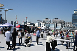 ꡼ No.052 | ֥TCGΥ٥ȡ֥ɥ2024 in ץݡȡ󤫤֥ץ奫ɥ ɥ꡼४פ»