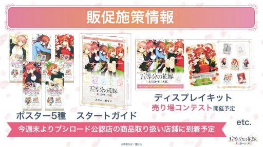 ꡼ No.033 | ֥֥TCGάȯɽ2024 ץݡȡ֥ɥե!! 󥬡ɡפʤ8ȥκǿ˾Ҳ