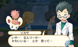 ꡼ No.004 | ֥ۡॿ󥹥ȡ꡼פθȤ˭ʽãΥץե롤Ź䤹뾦ʤλʤɿ¿