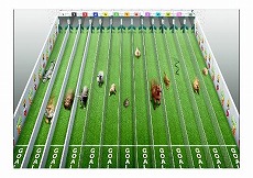 ���������꡼ No.009�Υ���ͥ������ / �֥�󥹥������ȥ饤���ס��ÿ��סȽ���ٺƶ���ɤ򳫺���